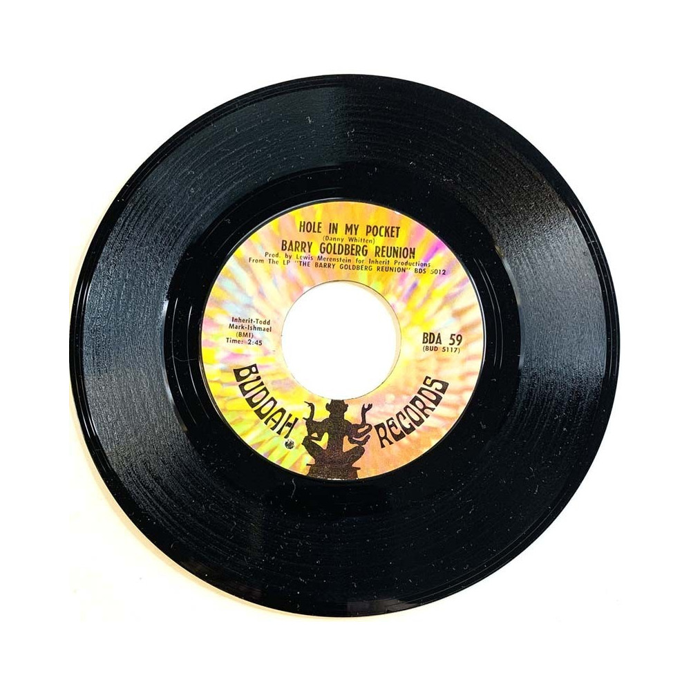 Barry Goldberg Reunion –  vinyylisingle Hole in my pocket / Sittin' in circles  kansi Ei kuvakantta levy EX käytetty vinyylising
