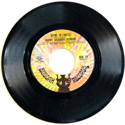 Barry Goldberg Reunion –  vinyylisingle Hole in my pocket / Sittin' in circles  kansi Ei kuvakantta levy EX käytetty vinyylising