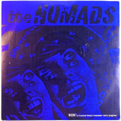 Nomads vinyylisingle She pays the rent / Nitroglycerine shrieks  kansi EX- levy EX käytetty vinyylisingle PS