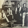 New Rose vinyylisingle Password of love / Too bad  kansi EX- levy EX käytetty vinyylisingle PS