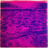 Backwoods vinyylisingle Strange wind / Lovin' and leavin'  kansi VG+ levy EX käytetty vinyylisingle PS