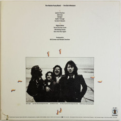 Richie Furay Band LP I’ve got a reason  kansi EX levy EX Käytetty LP