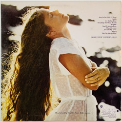 Larson Nicolette LP In the Nick of Time  kansi EX- levy EX Käytetty LP