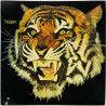 Tiger LP Tiger -76  kansi EX- levy VG+ Käytetty LP