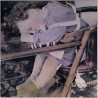 Mushroom: Early One Morning LP + 7-inch single  kansi EX levy EX Käytetty LP