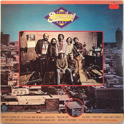 David Bromberg Band 1978 F-9555 Bandit In A Bathing Suit Begagnat LP