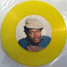 I-Roy: Ten Commandments, picture Disc  kansi EX levy EX Käytetty LP