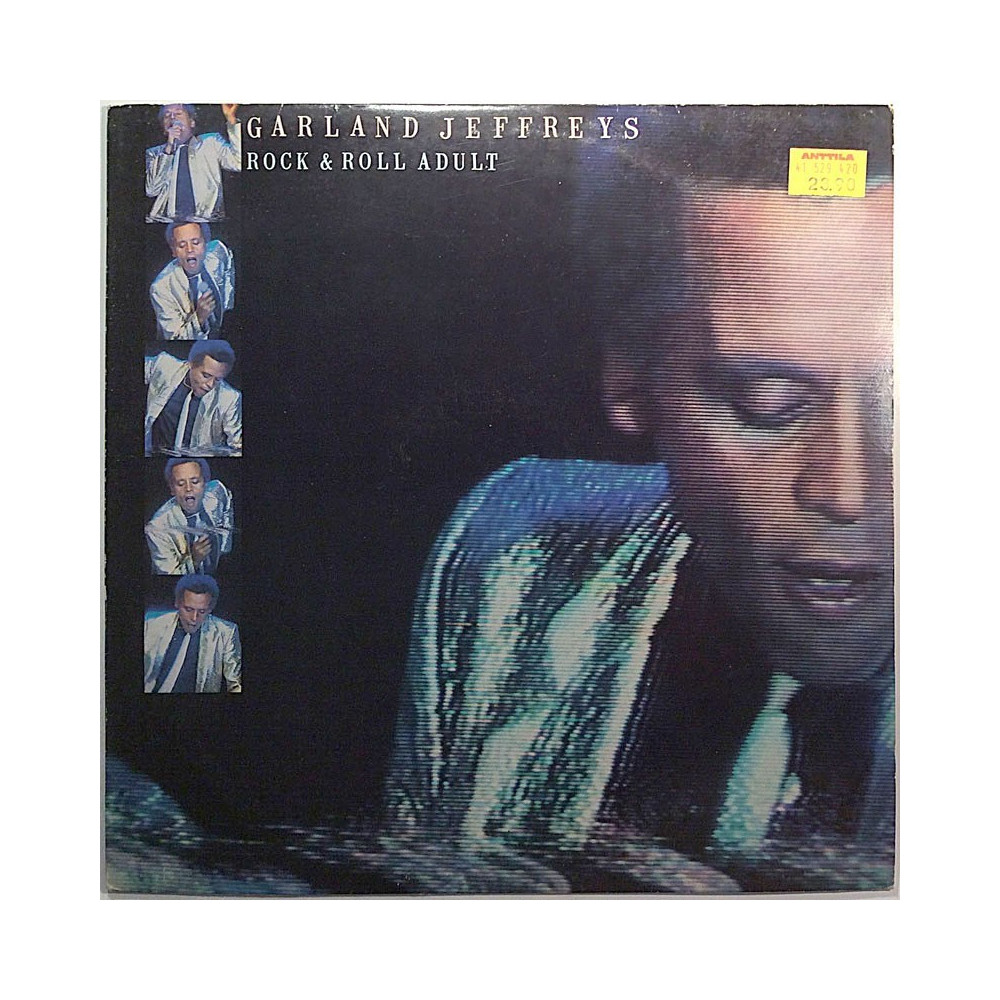 Jeffreys Garland: Rock & Roll Adult  kansi VG levy VG+ Käytetty LP