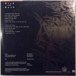 Bird In The Bush 1992 SBLP-012 Swinging On The Edge Of The Ridiculous Second hand LP
