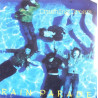 Rain Parade : Crashing Dream - LP