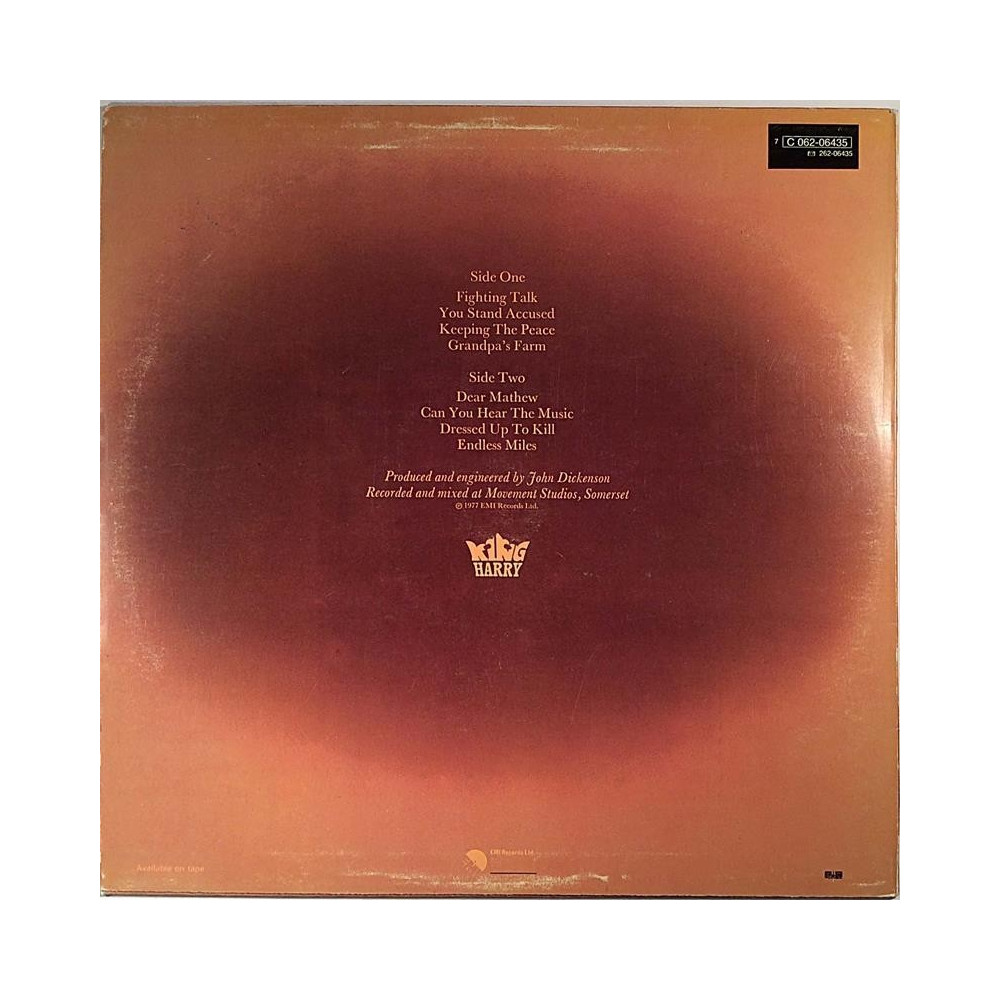 King Harry : Divided We Stand - Second hand LP