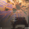 Jefferson Airplane : Last Stand At Winterland 1970 2LP - 