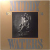 Waters Muddy 1981 SKY 32532 King Bee Second hand LP