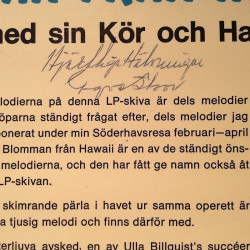 Yngve Stoor Med Sin Hawaii-Orkester: Blomman från Hawaii  kansi VG+ levy VG+ Käytetty LP