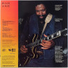 Seals Son : Bad Axe - Second hand LP