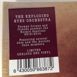 Exploding Eyes Orchestra 2015 SVR386 Exploding Eyes Orchestra I Begagnat LP