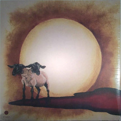 Exploding Eyes Orchestra 2015 SVR386 Exploding Eyes Orchestra I Used LP