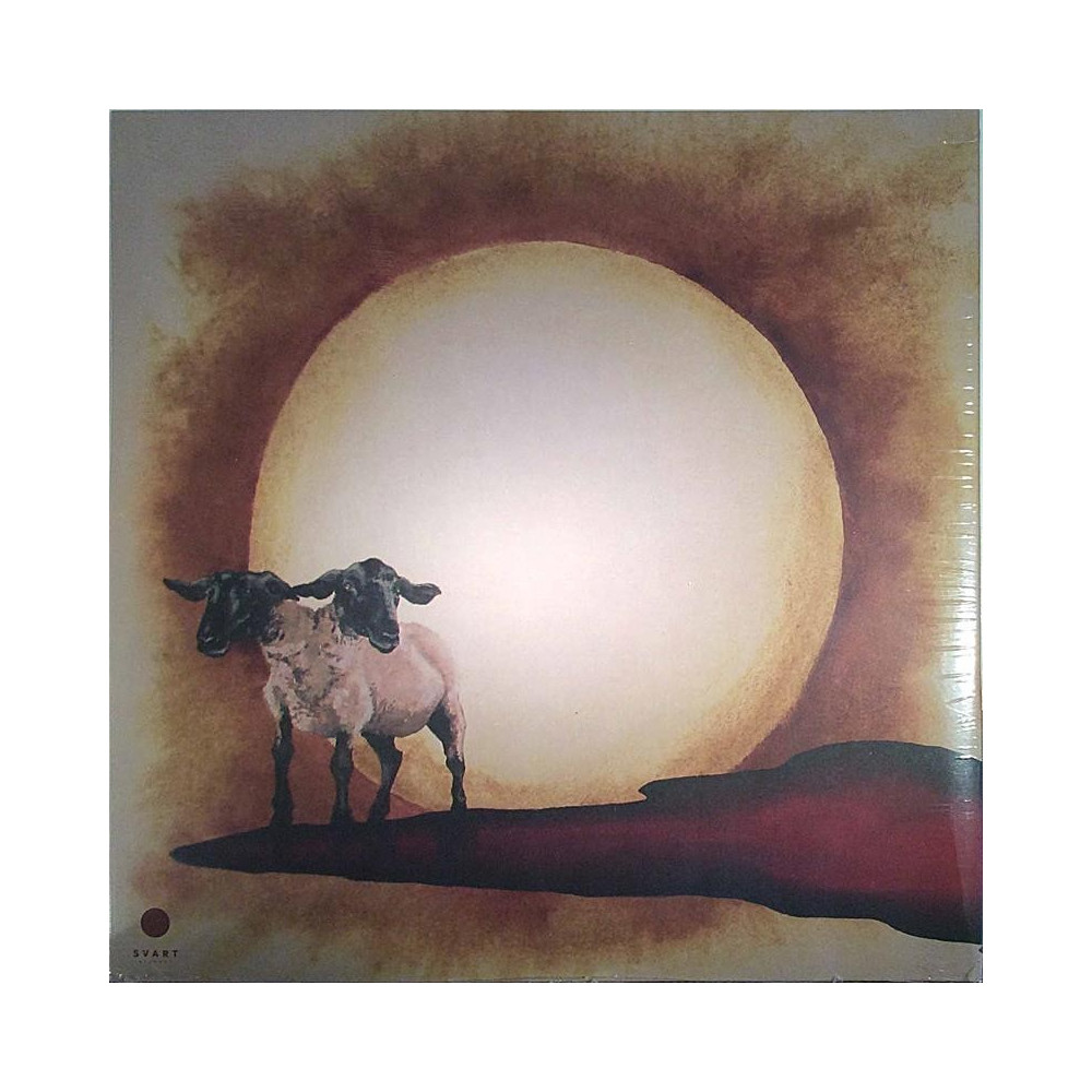 Exploding Eyes Orchestra 2015 SVR386 Exploding Eyes Orchestra I Begagnat LP
