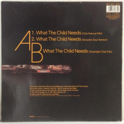 Ronald Terry : What The Child Needs (12”) - Used LP