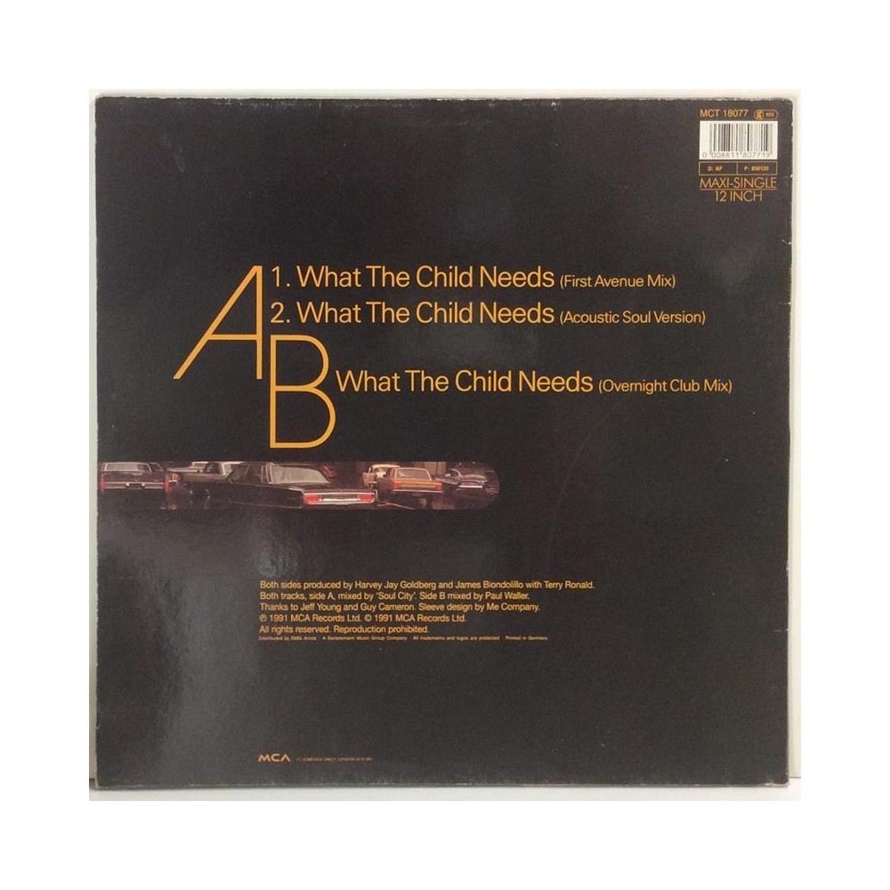 Ronald Terry : What The Child Needs (12”) - Used LP