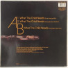 Ronald Terry : What The Child Needs (12”) - Used LP
