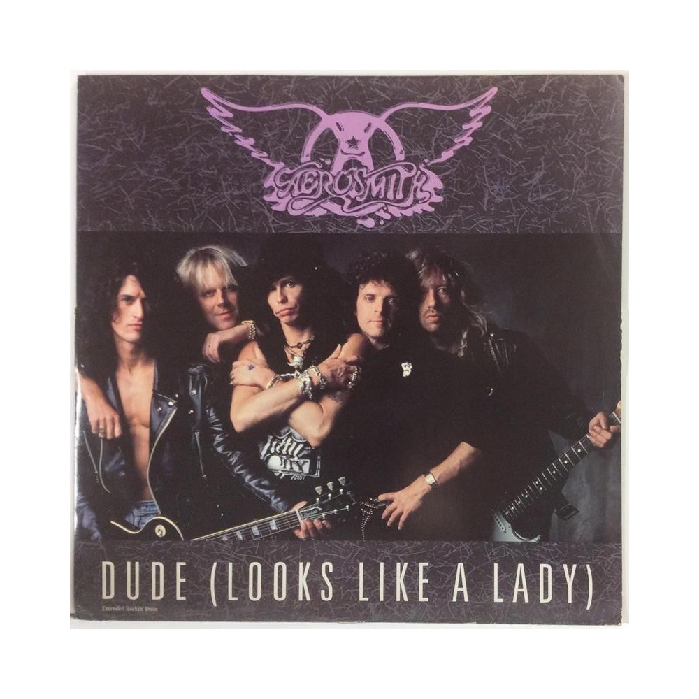 Aerosmith : Dude (Looks Like A Lady) 12” maxi - Begagnat LP