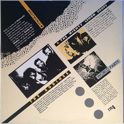 Various Artists 5-track EP 12” : Bodines,Mighty Lemon Drops... - Begagnat 12”