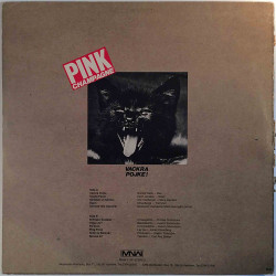 Pink Champagne 1982 MNW 117P Vackra Pojke! Second hand LP