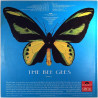 Bee Gees 1968 236 556 Rare, Precious & Beautiful Volume 3 Used LP