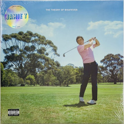 Jamie T 2022 4543721 The Theory Of Whatever (white vinyl) LP