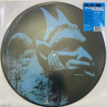 R.E.M. – Chronic Town 1982 B0035609-01 Chronic Town - picture disc 12-inch maxi LP