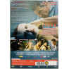DVD - Elokuva 2011  Iho jossa elän DVD