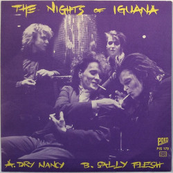 Nights Of Iguana käytetty 7” kuvakannella Dry Nancy / Sally Flesh  kansi EX levy EX käytetty vinyylisingle