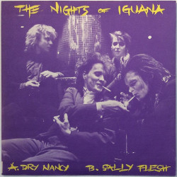 Nights Of Iguana käytetty 7” kuvakannella Dry Nancy / Sally Flesh  kansi EX levy EX käytetty vinyylisingle