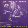 Nights Of Iguana käytetty 7” kuvakannella Dry Nancy / Sally Flesh  kansi EX levy EX käytetty vinyylisingle