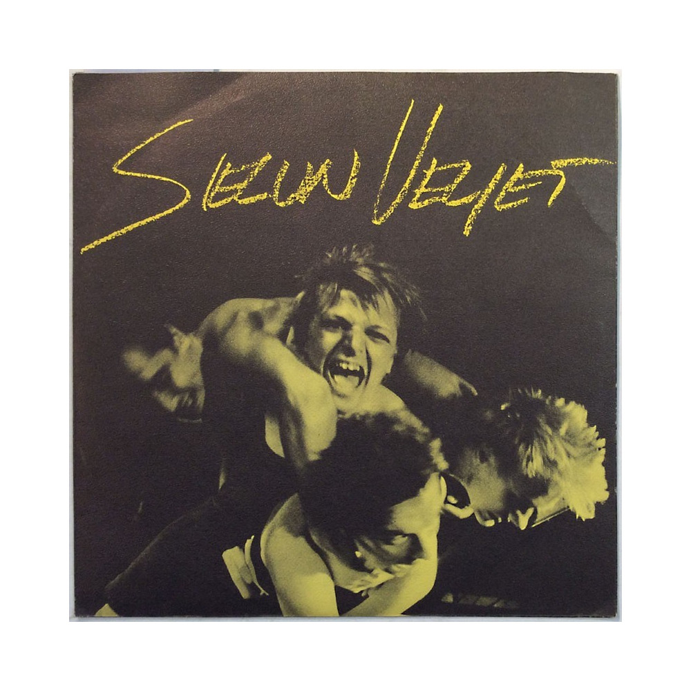 Sielun Veljet käytetty 7” kuvakannella Toiset on luotuja kulkemaan / Kanoottilaulu  kansi EX- levy EX käytetty vinyylisingle