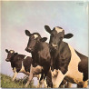 Pink Floyd LP Atom Heart Mother  kansi EX levy EX LP