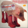 Ashra, XTC, Hillage, U-Roy ym. 1978 VD2508 Dead on Arrival coloured vinyl 2LP  LP