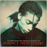 D'Arby Terence Trent 1987 CBS 450911 1 Introducing The Hardline According To Begagnat LP