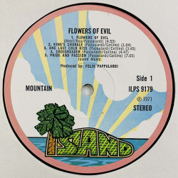 Mountain LP Flowers of evil  kansi EX- levy G+ Käytetty LP