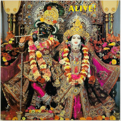 Rasa and The Family Krishna LP Alive!  kansi EX- levy EX Käytetty LP