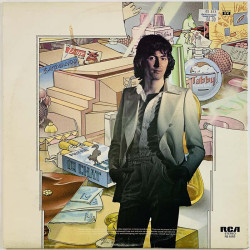 Stewart Al LP Year of the Cat  kansi VG+ levy EX- Käytetty LP