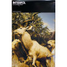 Interpol – Our Love To Admire, Begagnat Poster, år 2007 bredd 51cm  höjd 70 cm Promojuliste 51cm x 70cm skick VG+