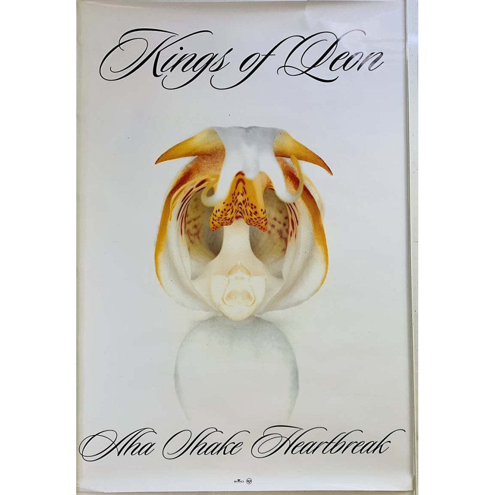 Kings of Leon, Begagnat Poster, år 2004 bredd 48cm  höjd 68 cm Promoposter 48cm x 68cm skick VG+
