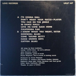 Rock'N'Roll Band LP Everybody Needs Dance Music Sometimes  kansi VG levy EX- Käytetty LP