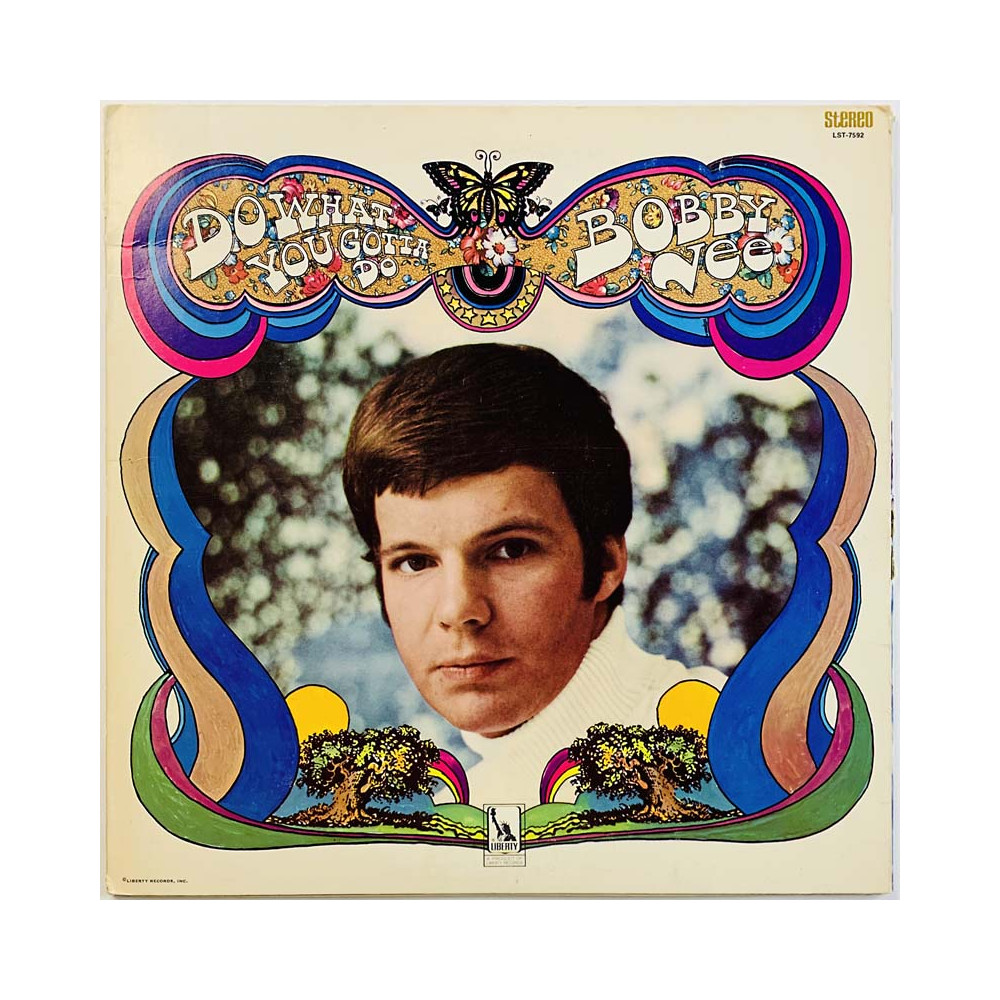 Vee Bobby LP Do what you gotta do  kansi EX- levy EX- Käytetty LP