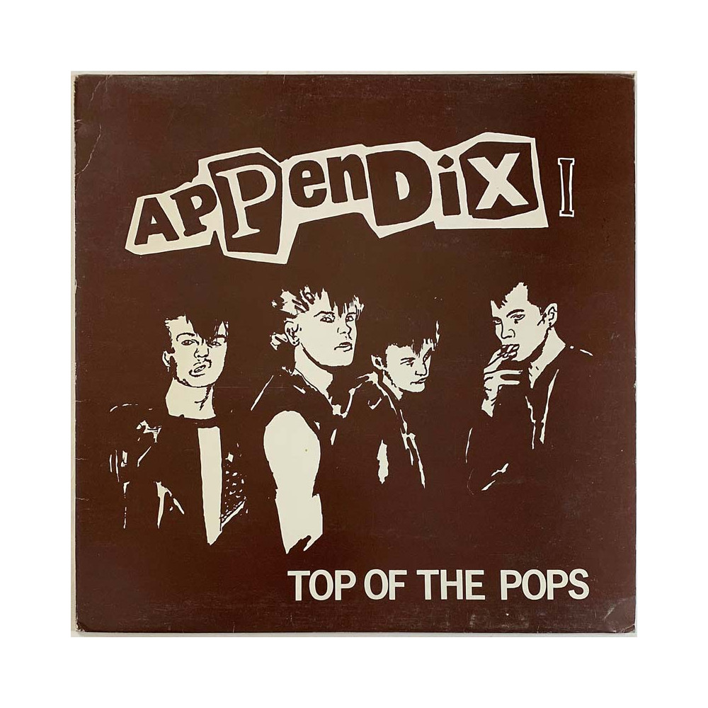 Appendix LP Top of the pops  kansi VG+ levy EX Käytetty LP