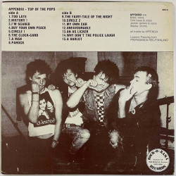 Appendix LP Top of the pops  kansi VG+ levy EX Käytetty LP