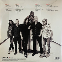 Foo Fighters LP The Essential 2LP kunto  LP