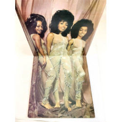 Three Degrees 1973 PIR 65858 The Three Degrees Begagnat LP